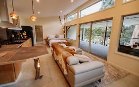 Bruny Island Oceanfront Luxe Cabin With Spa